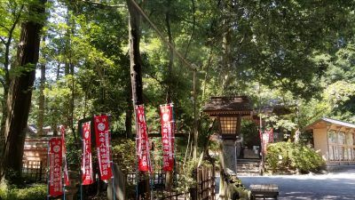 大崎八幡宮の参道にミスト_20200820_105304