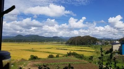 しらかみカフェ（秋田県八峰町）から望む目名潟山_20200919_123939