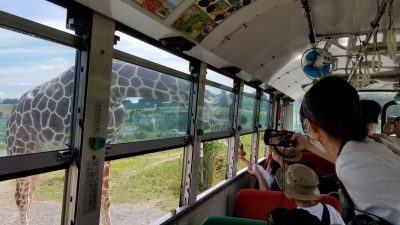 やっているのかいないのか？宮城県民（南部）にはよくわからない岩手サファリーパークに行ってみました！（岩手県一関市）_20210924_111827