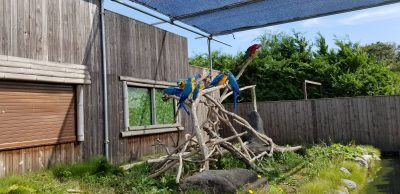 やっているのかいないのか？宮城県民（南部）にはよくわからない岩手サファリーパークに行ってみました！（岩手県一関市）_20210924_125614