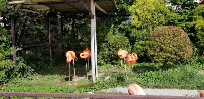 やっているのかいないのか？宮城県民（南部）にはよくわからない岩手サファリーパークに行ってみました！（岩手県一関市）_20210924_125657