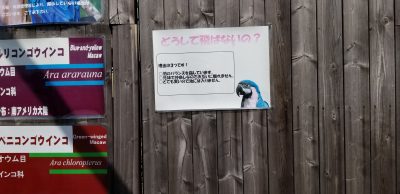 やっているのかいないのか？宮城県民（南部）にはよくわからない岩手サファリーパークに行ってみました！（岩手県一関市）_20210924_125903
