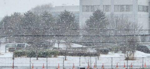 大寒波の中、盛岡の農業団体様で全職員ハラスメント防止研修の講師を３日間務めました（ワッツ・ビジョン笹崎久美子／岩手県盛岡市にて）_w1280_20230123_124244