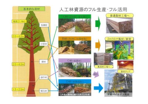 温海町森林組合様で製材加工を見学しました（山形県鶴岡市）_2021-1119_ABCD