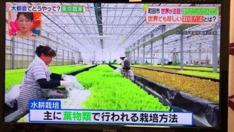 石巻市「良葉東部」様で水耕栽培（植物工場）を見学_received_314294526618166.mp4_000006800