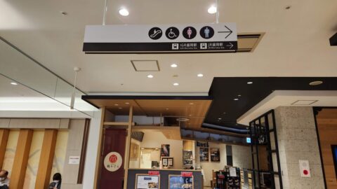 IGRいわて銀河鉄道に乗って石神の丘美術館に行こう_w1280_20230622_093509