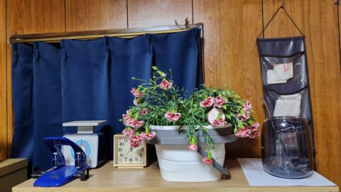 カーネーションが水枯れしても秋に又咲かせたい！「花」よりも目標達成が好き?_w1280_20230524_212617