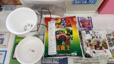カーネーションが水枯れしても秋に又咲かせたい！「花」よりも目標達成が好き?_w1280_20230601_175109