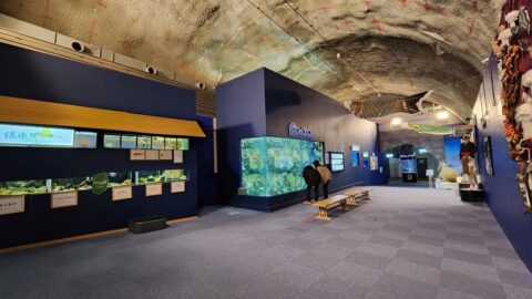 国家石油備蓄基地の作業坑トンネルを利用したもぐらんぴあ水族館_w1280_20240313_143901