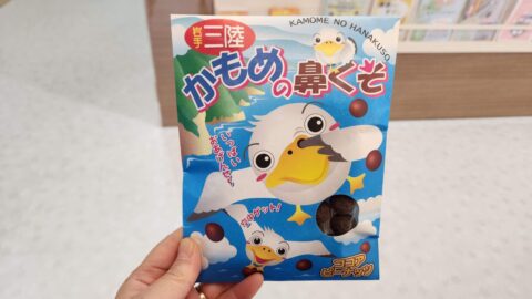 かもめの鼻くそ・道の駅やまだ「おいすた」_w1280_20240313_170432