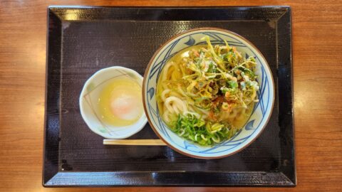 丸亀製麺盛岡店の「かけうどん＋三ツ葉小えびカキ揚＋温泉玉子」_w1280_20240426_123343