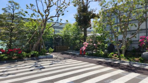 健診クリニック様でハラスメント防止研修の講師を務めました（宮城県仙台市）_w1280_20240511_125410