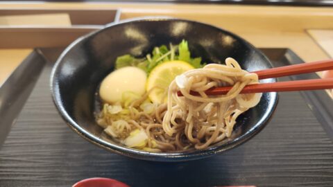 サンフェスタ２階レガーロで冷やし鶏そば_w1280_20250829_115331