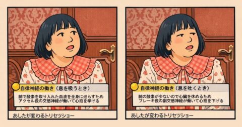 w1280_トリセツショー「黒沢かずこさん」「自律神経！正体・乱れ・整え方すべて見せます（2025年11月20日（木）NHK総合）」