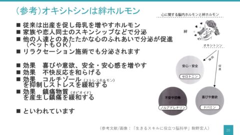 仙台保健福祉事務所で「メンタルヘルス研修（セルフケア職員研修）」の講師を務めました（宮城県塩釜市）オキシトシンについて_oxytocin