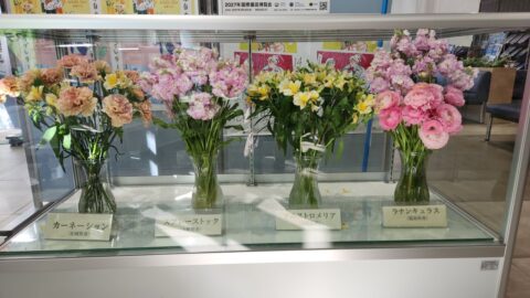 仙台合同庁舎B棟の花の展示_w1280_20260210_131551