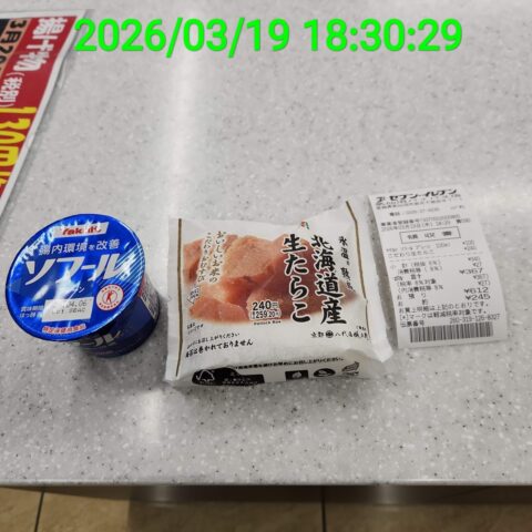出張旅～三陸自動車道は走るたびにほんの少しこころがざわつくチョットだけ切ない道～w1280_TimePhoto_20260319_183029