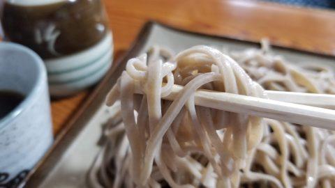 上山市「原口そば屋」のもりそば_w1280_20210626_133128